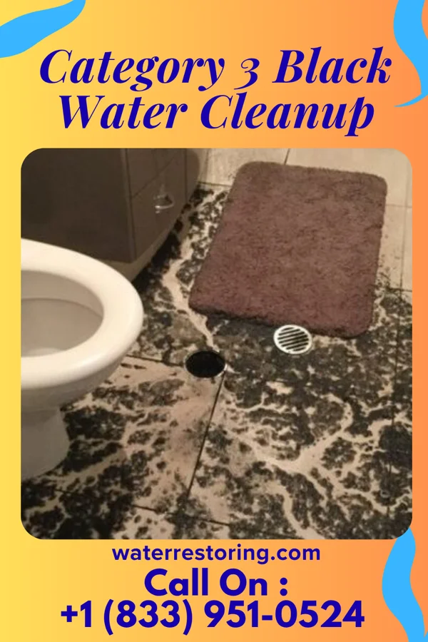 Category 3 Black Water Cleanup in Tajique, NM