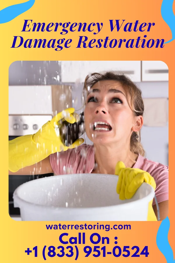 Emergency Water Damage Restoration in Tajique, NM