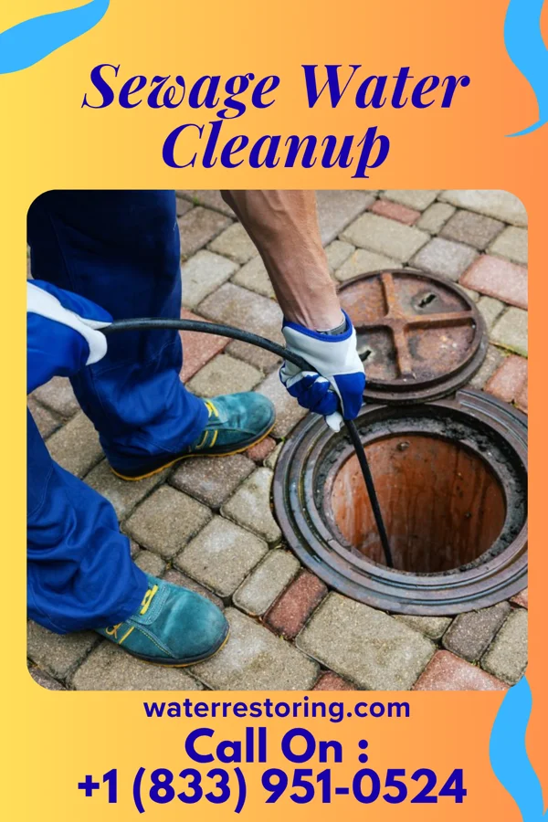 Sewage Water Cleanup in Tajique, NM