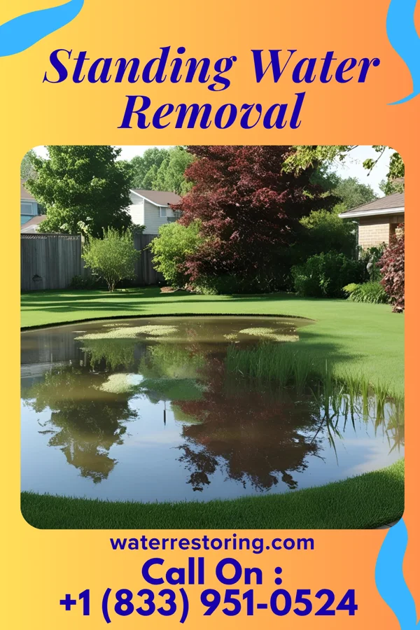 Standing Water Removal in Tajique, NM